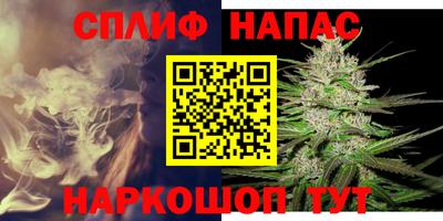 гашик Гай
