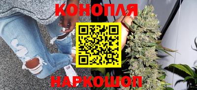 гашик Гай