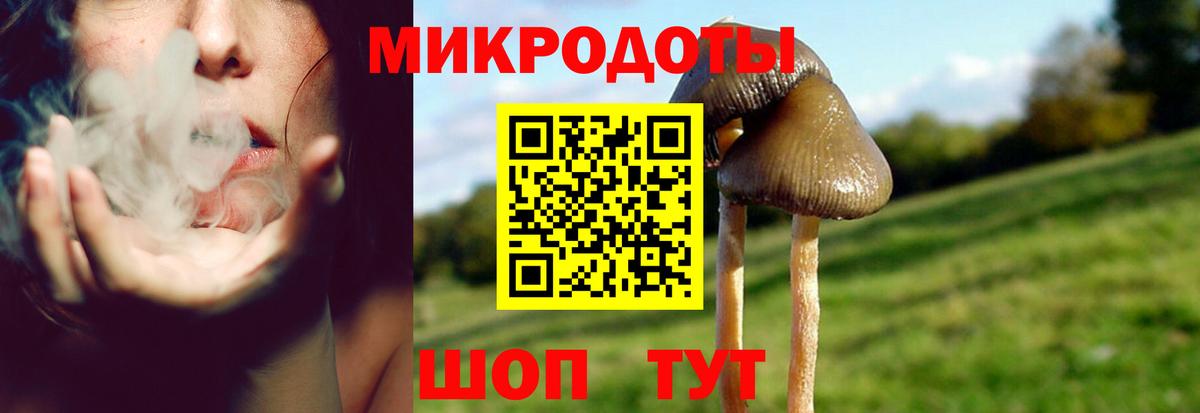 Псилоцибиновые грибы Psilocybine cubensis  Вход с VPN  Нефтеюганск 